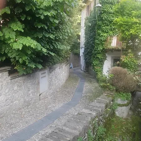 Apartment Domus Alba