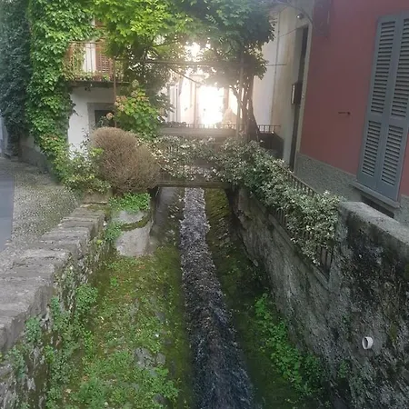 Apartment Domus Alba
