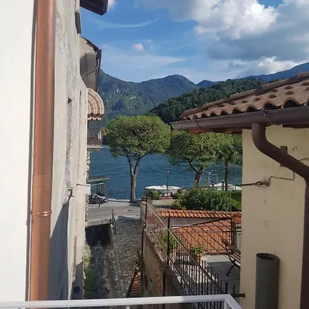 Apartment Domus Alba *