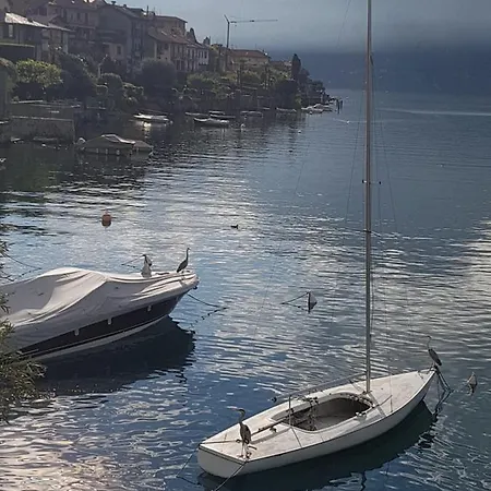 Apartment Domus Alba Lenno