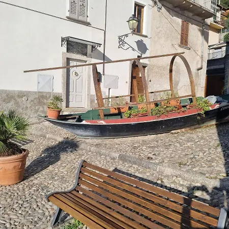 Domus Alba *
