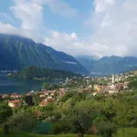 Domus Alba *