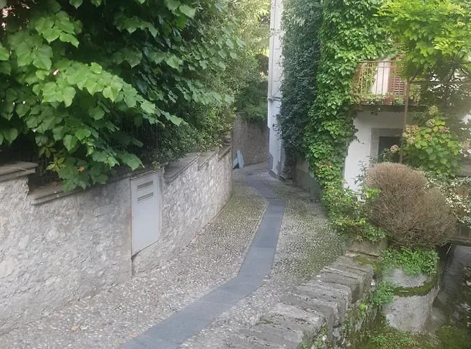 Apartment Domus Alba