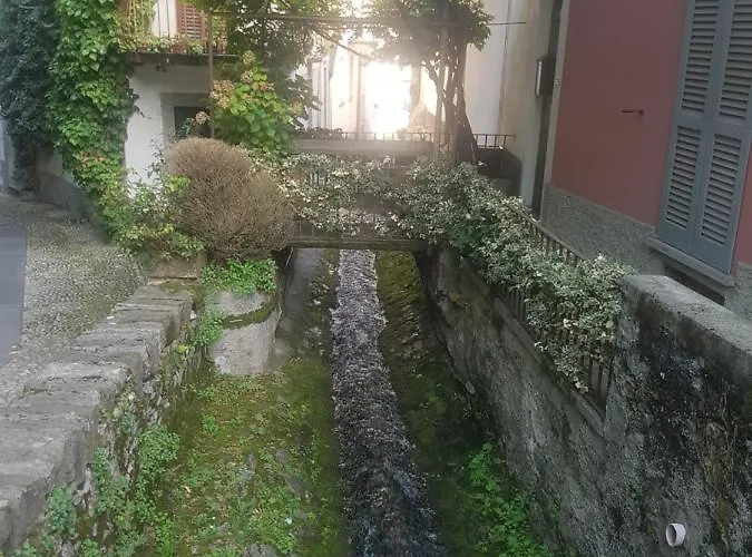 Apartment Domus Alba