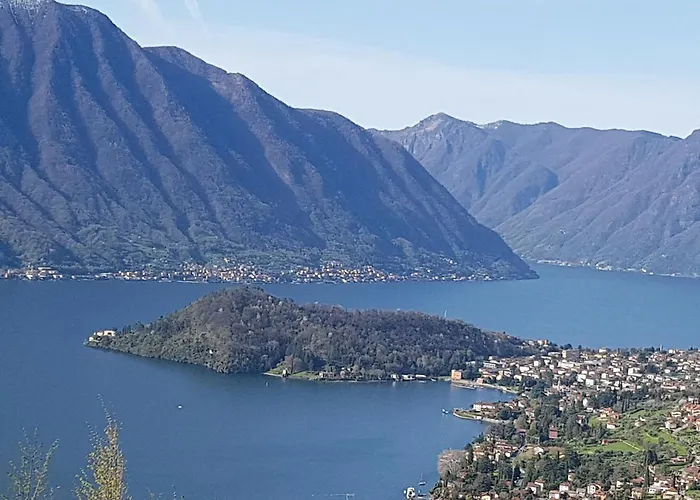 Domus Alba Apartment *