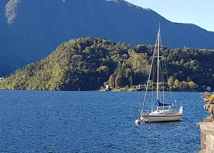 Apartment Domus Alba