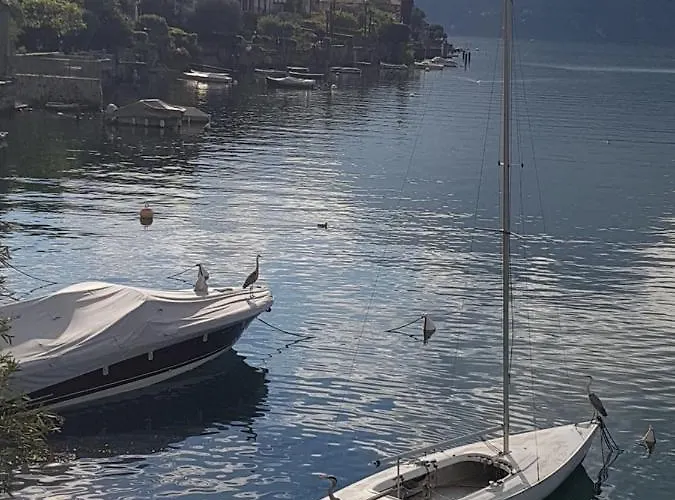 Apartment Domus Alba Lenno