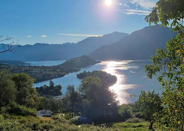 Domus Alba Apartment