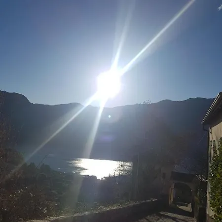 Domus Alba *